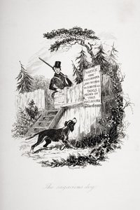 The sagacious dog, illustration from 